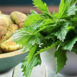 Banketky s mladou kopřivou – recept.