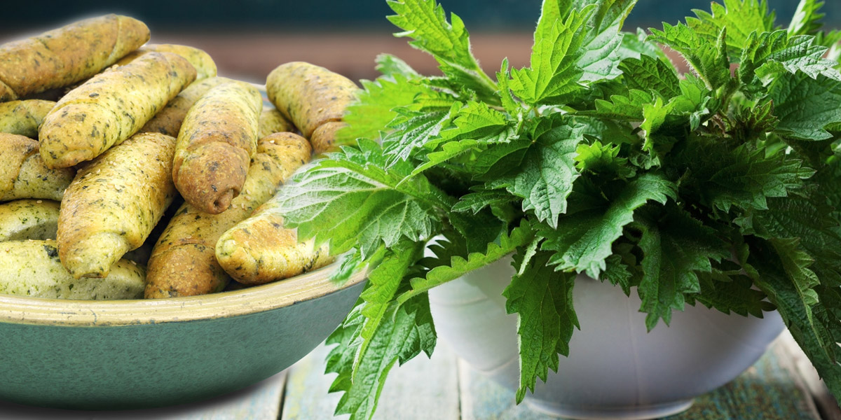 Banketky s mladou kopřivou – recept.