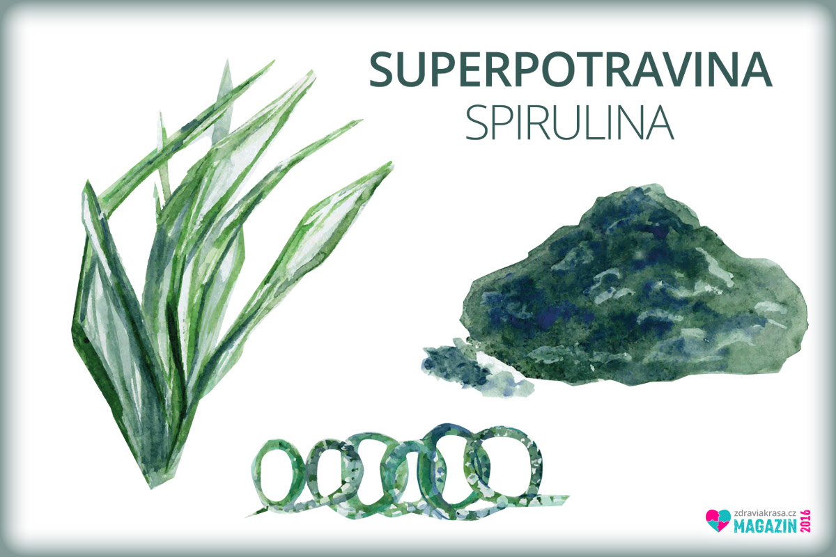Spirulina patří do rodu sinic Oscillatoriales. Jde o vláknitou sinici s cylindrickými buňkami. Její vlákna jsou stočená do podoby levotočivé šroubovice.