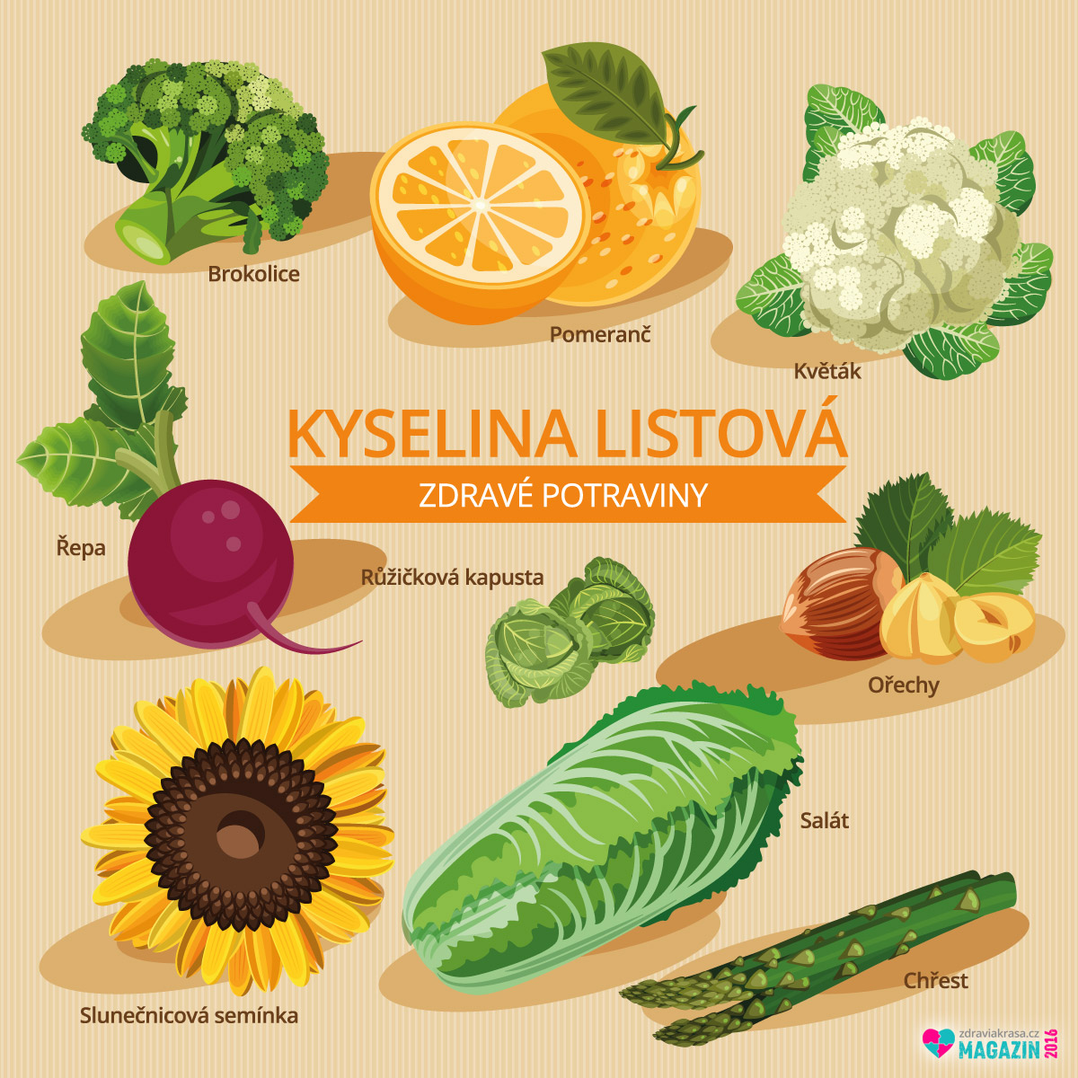 Řada žen neumí kyselinu listovou v klasické podobě vůbec metabolizovat.