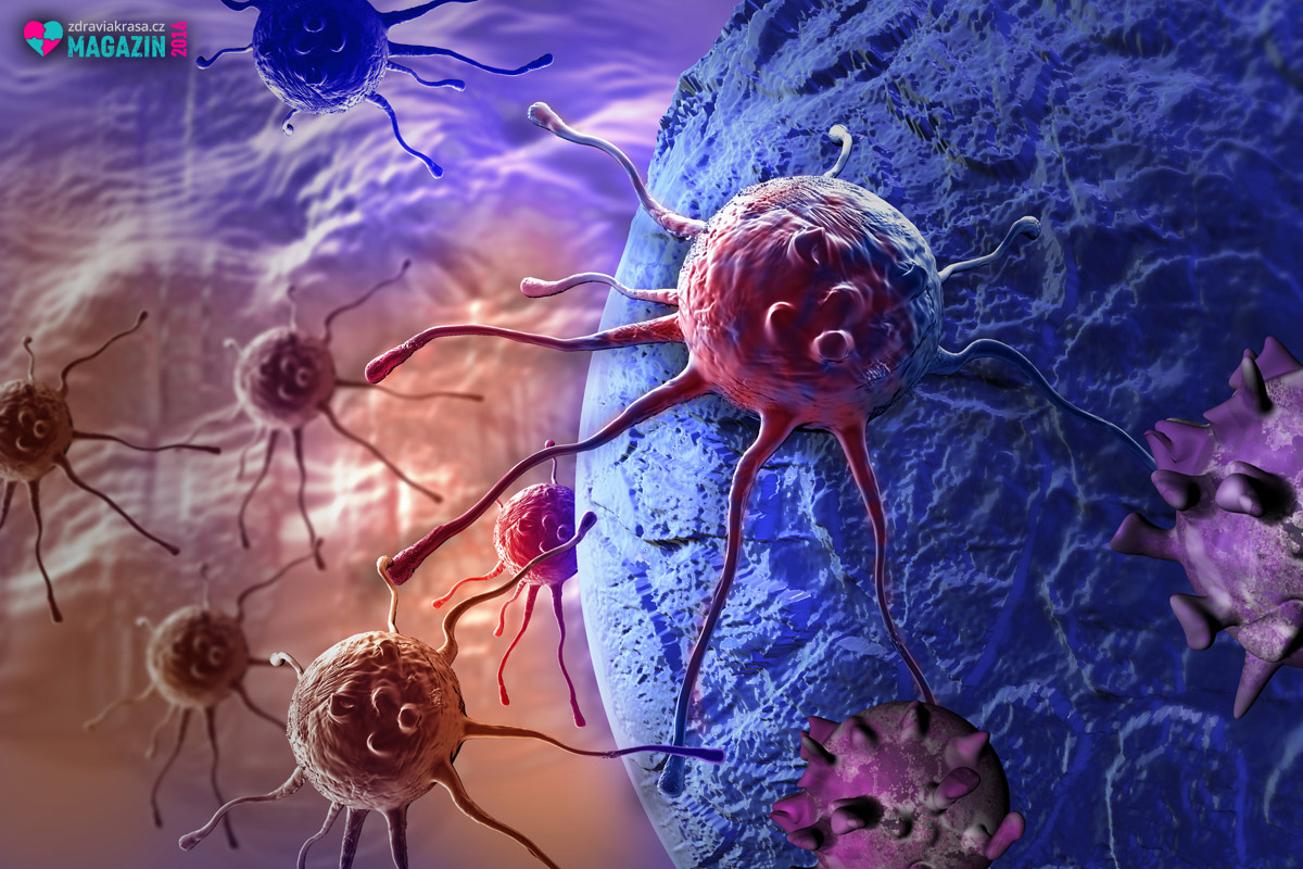 Podstatou vzniku rakoviny je změna genetické informace a regulačních mechanismů v buňce.