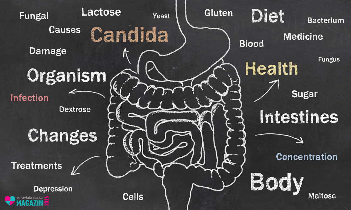 Vznik candida ovlivňuje nadužívání antibiotik, cukru i nezdravý životní styl. Projevy jsou skutečně pestré a nepříjemné.