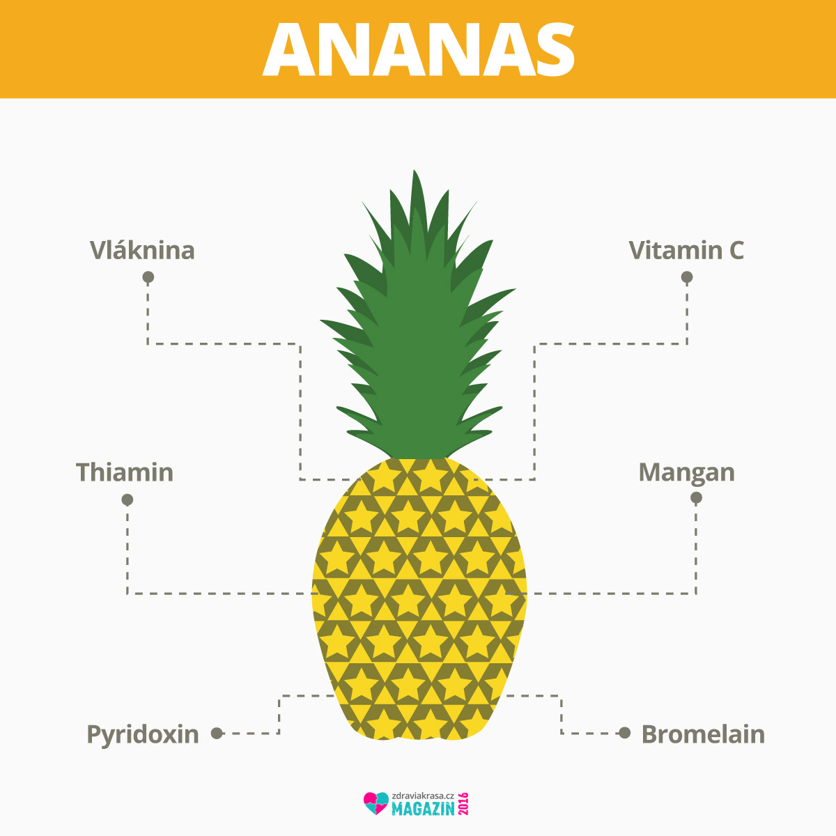 Důležitou součástí ananasu je enzym bromelin.