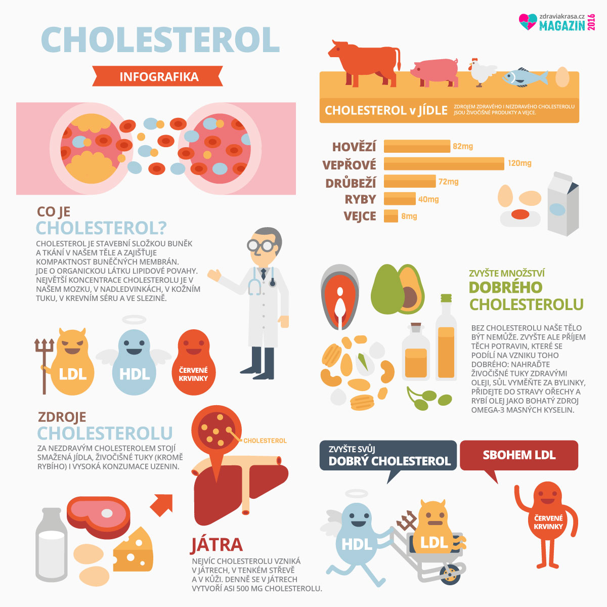 Naše tělo rozlišuje dobrý a špatný cholesterol – víte, jak to s nimi doopravdy je? 