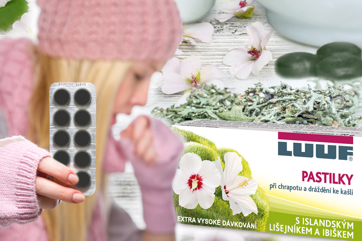 Islandský lišejník patří mezi tzv. plicní lišejníky. Jeho užívání při chrapotu a na dráždivý kašel má v lidovém léčitelství dlouhou tradici.