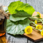 Vyrobte si nejlepší podbělový sirup. Pomůže na kašel, průdušky, astma i rýmu. A nejen na ně.