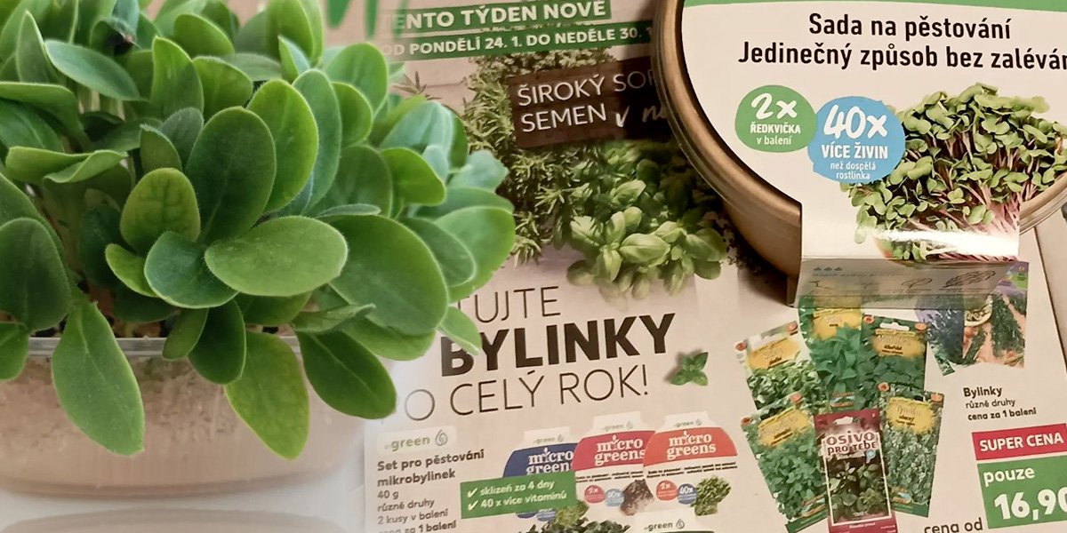 Mikrozelenina je nový výživový hit pro zdraví a krásu
