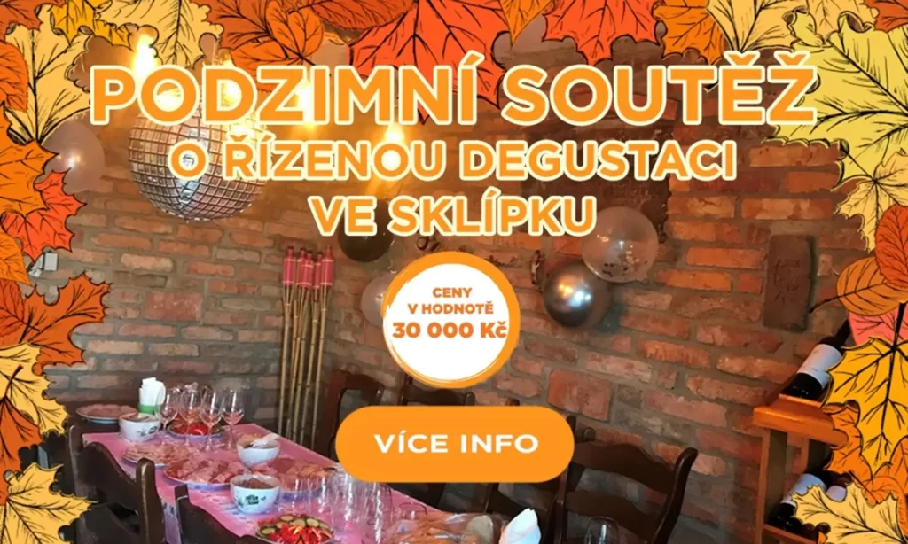 BMV Vinařství Kadlec pořádá řízené degustace v 200 let starém sklípku ve Vrbicích.